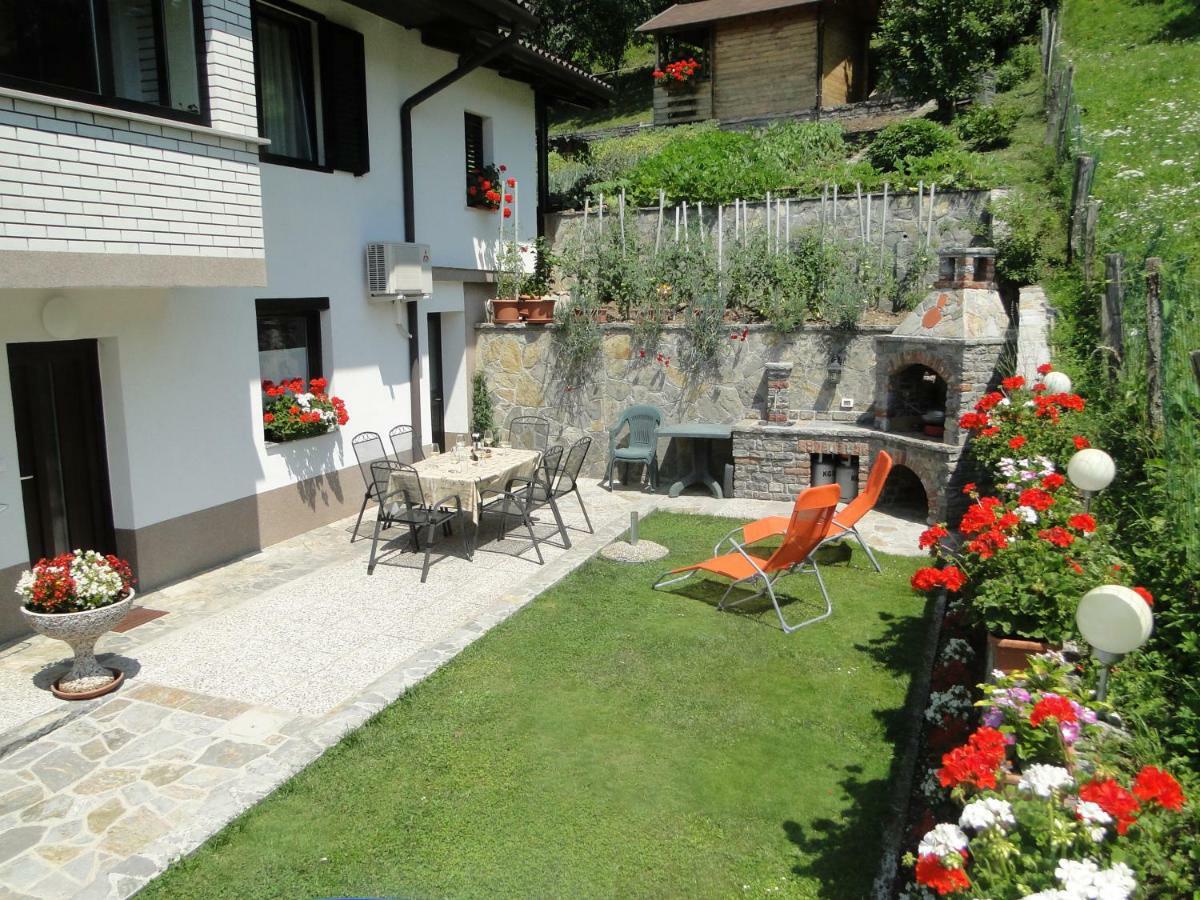 Apartma Jezero Most na Soči Buitenkant foto